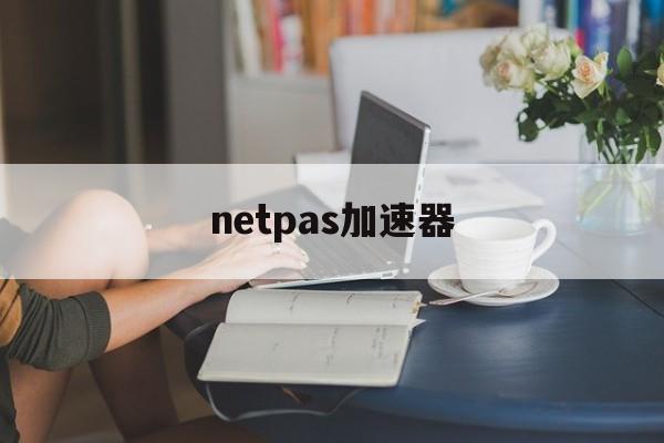 netpas加速器:(加速器vpn下载)