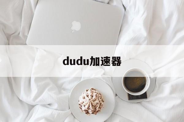 dudu加速器:(加速器试用3天免费)