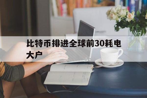 关于比特币排进全球前30耗电大户的信息