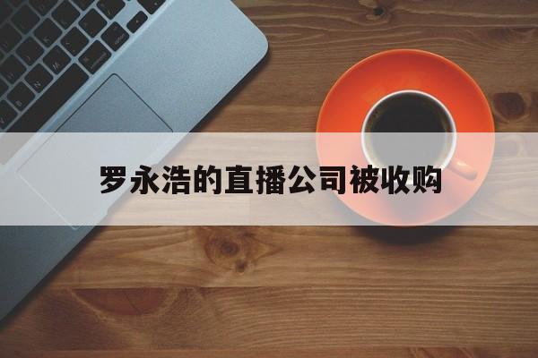 罗永浩的直播公司被收购:(罗永浩手机公司是什么名字)