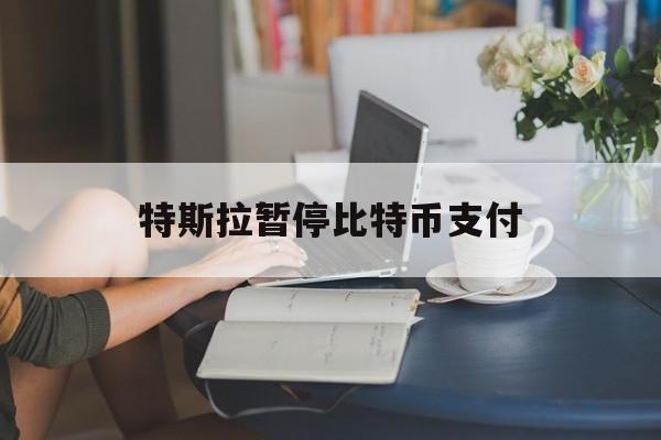 特斯拉暂停比特币支付:(为什么中国不允许交易比特币)