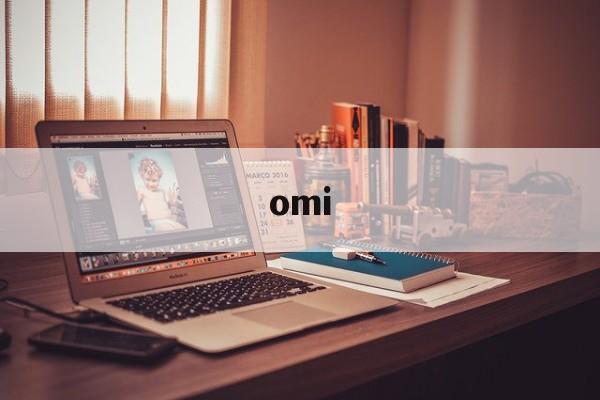 omi:(OMI属于几线品牌)