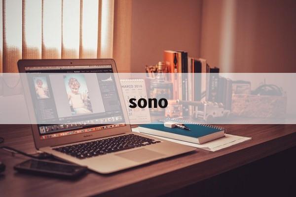 sono:(sono意大利语什么意思)