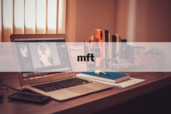 mft:(mft格斗骗局)